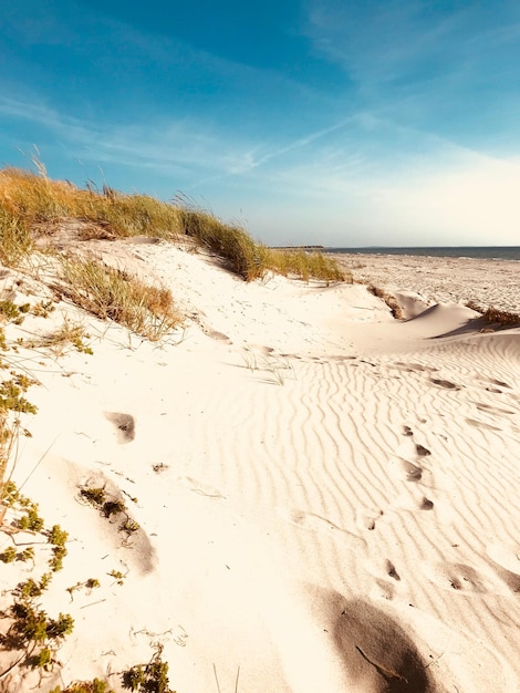 Schilderachtig uitzicht op het strand tegen de lucht