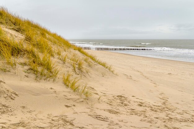 Foto schilderachtig uitzicht op het strand tegen de lucht