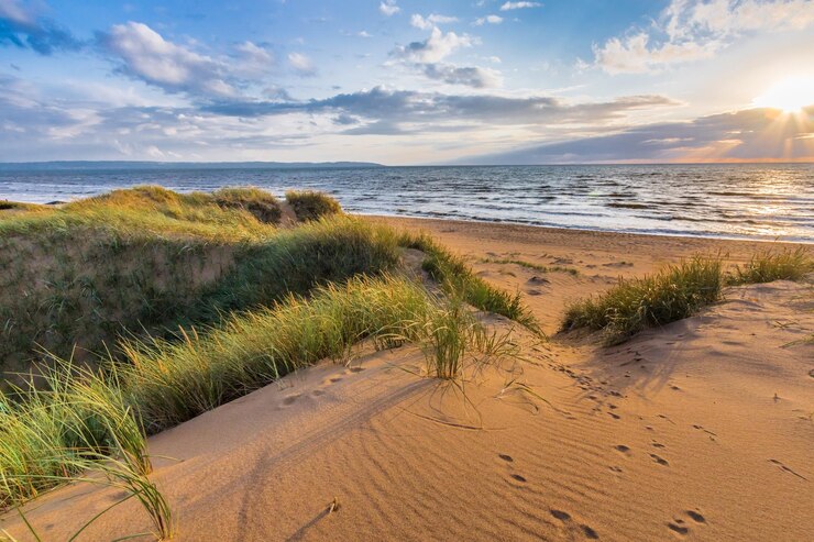 Foto schilderachtig uitzicht op het strand tegen een bewolkte lucht