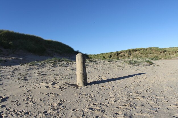 Schilderachtig uitzicht op het strand tegen een heldere blauwe lucht