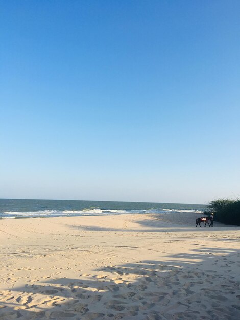 Foto schilderachtig uitzicht op het strand tegen een heldere blauwe lucht