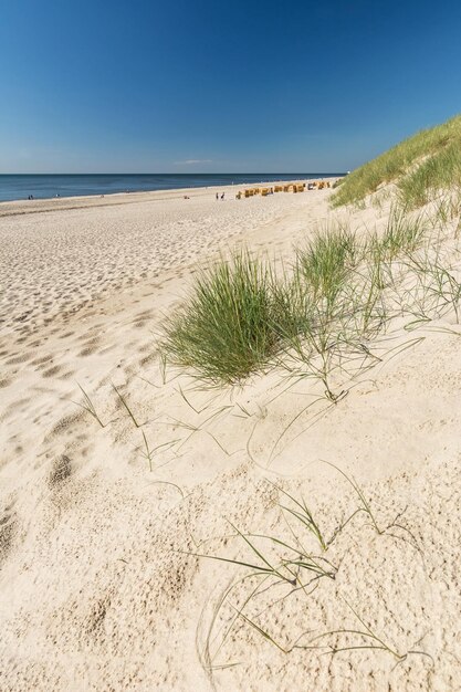 Foto schilderachtig uitzicht op het strand tegen een heldere lucht