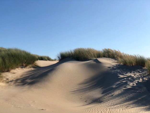 Foto schilderachtig uitzicht op het strand tegen een heldere lucht