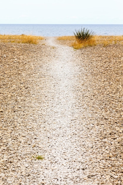 Schilderachtig uitzicht op het strand tegen een heldere lucht