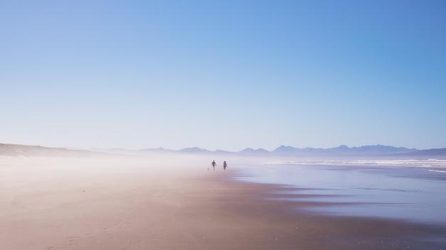 Schilderachtig uitzicht op het strand tegen een heldere lucht