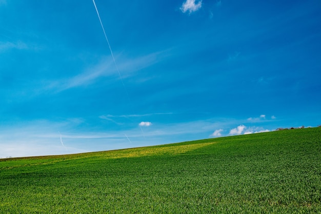 Schilderachtig uitzicht op het veld tegen de blauwe hemel