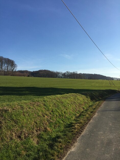 Schilderachtig uitzicht op het veld tegen de blauwe hemel