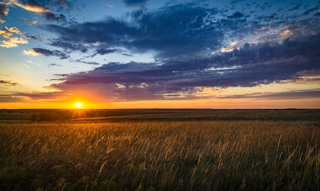 Schilderachtig uitzicht op het veld tegen de dramatische hemel tijdens de zonsondergang.