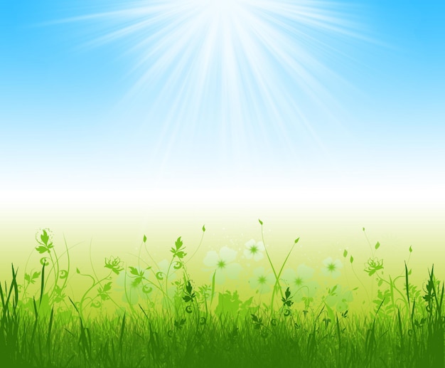Schilderachtig uitzicht op het veld tegen de heldere zon