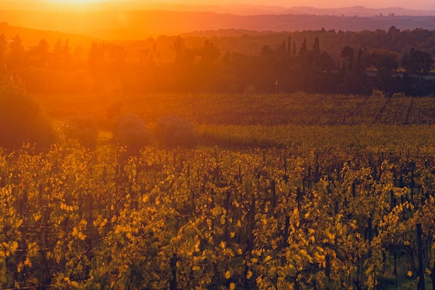 Schilderachtig uitzicht op het veld tegen de hemel bij zonsondergang