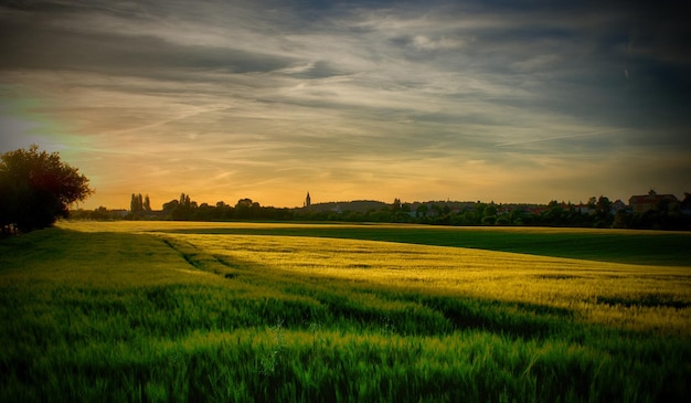 Foto schilderachtig uitzicht op het veld tegen de hemel bij zonsondergang