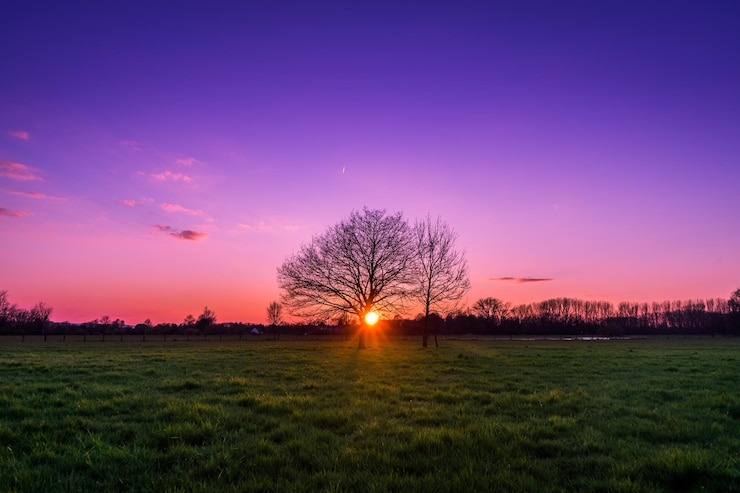 Foto schilderachtig uitzicht op het veld tegen de hemel bij zonsondergang