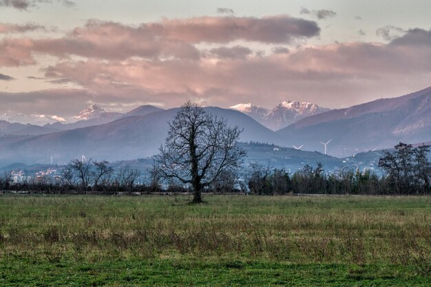 Schilderachtig uitzicht op het veld tegen de hemel bij zonsondergang