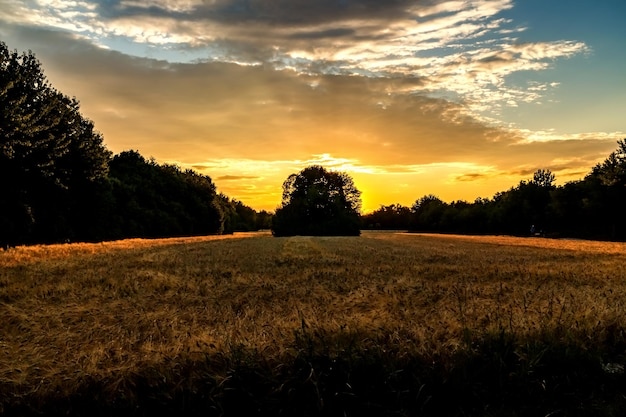 Schilderachtig uitzicht op het veld tegen de hemel bij zonsondergang