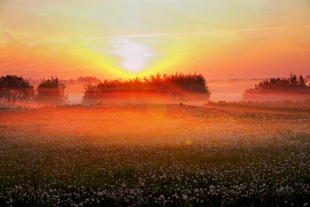 Foto schilderachtig uitzicht op het veld tegen de hemel bij zonsondergang