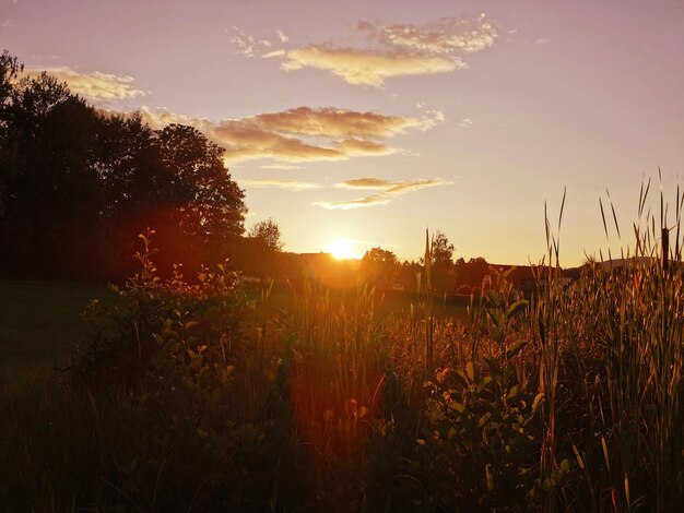 Foto schilderachtig uitzicht op het veld tegen de hemel bij zonsondergang
