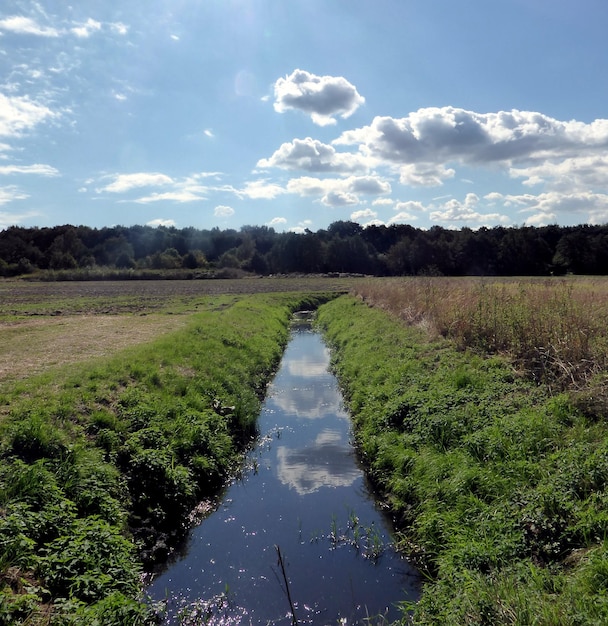 Schilderachtig uitzicht op het veld tegen de hemel op een zonnige dag