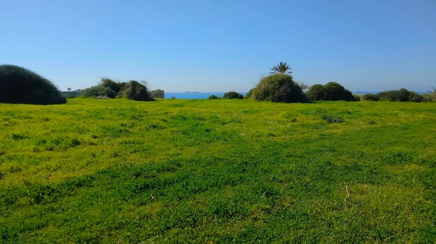 Foto schilderachtig uitzicht op het veld tegen de hemel