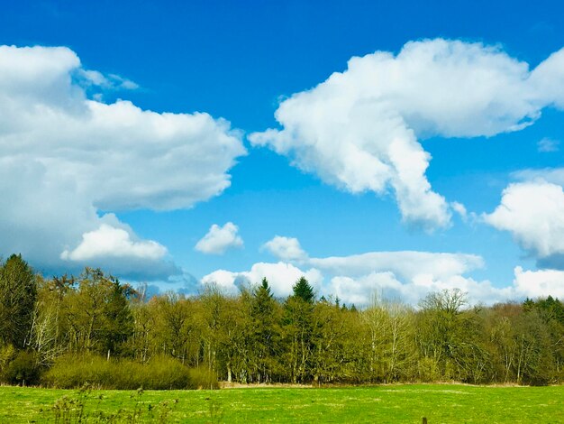 Foto schilderachtig uitzicht op het veld tegen de hemel