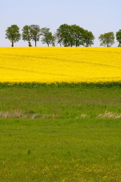 Foto schilderachtig uitzicht op het veld tegen de hemel