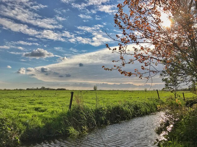 Schilderachtig uitzicht op het veld tegen de hemel