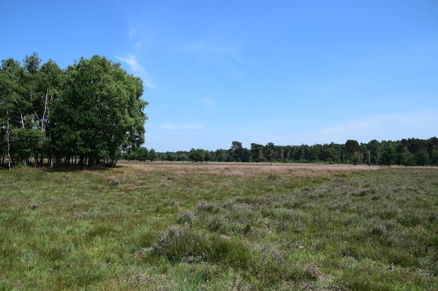 Foto schilderachtig uitzicht op het veld tegen de lucht