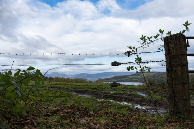 Foto schilderachtig uitzicht op het veld tegen de lucht