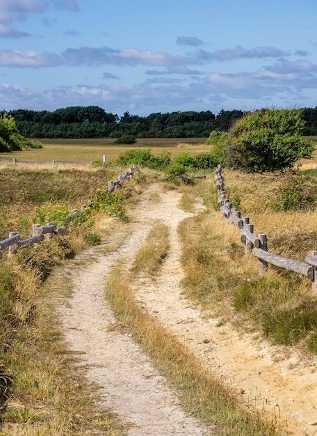 Foto schilderachtig uitzicht op het veld tegen de lucht