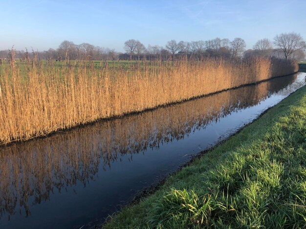 Foto schilderachtig uitzicht op het veld tegen de lucht