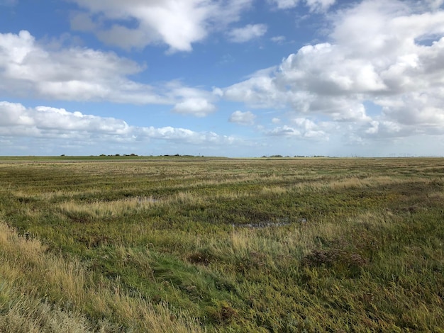 Schilderachtig uitzicht op het veld tegen de lucht