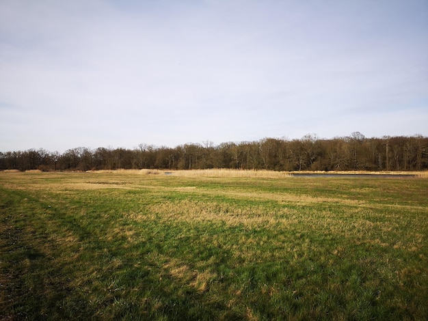 Schilderachtig uitzicht op het veld tegen de lucht