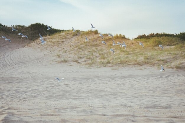 Foto schilderachtig uitzicht op het veld tegen de lucht