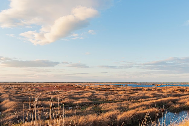 Foto schilderachtig uitzicht op het veld tegen de lucht