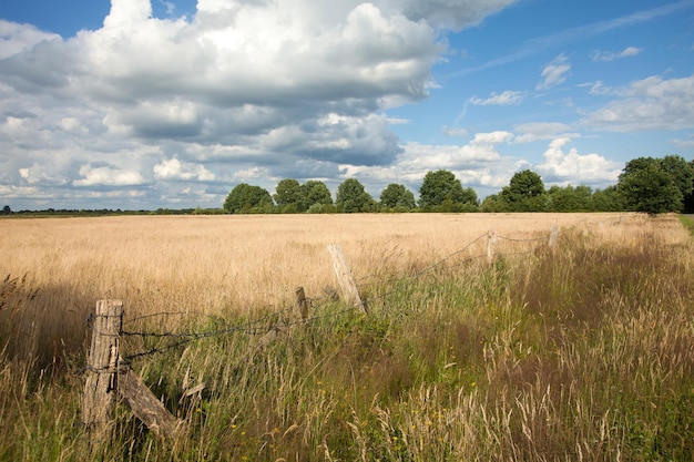 Foto schilderachtig uitzicht op het veld tegen de lucht