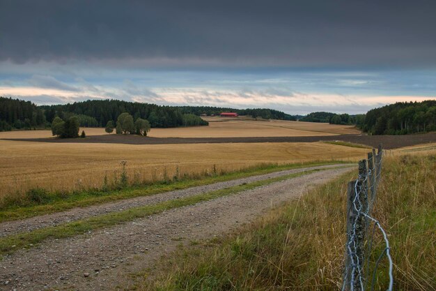 Foto schilderachtig uitzicht op het veld tegen de lucht