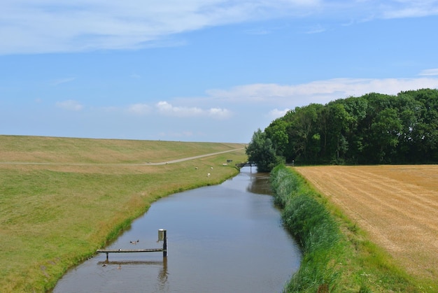 Foto schilderachtig uitzicht op het veld tegen de lucht