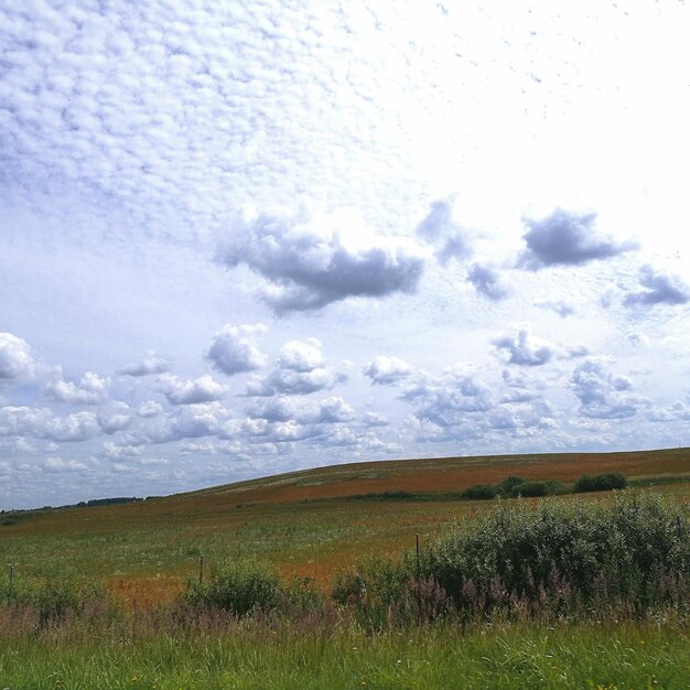 Foto schilderachtig uitzicht op het veld tegen de lucht