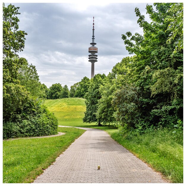 Foto schilderachtig uitzicht op het veld tegen de lucht