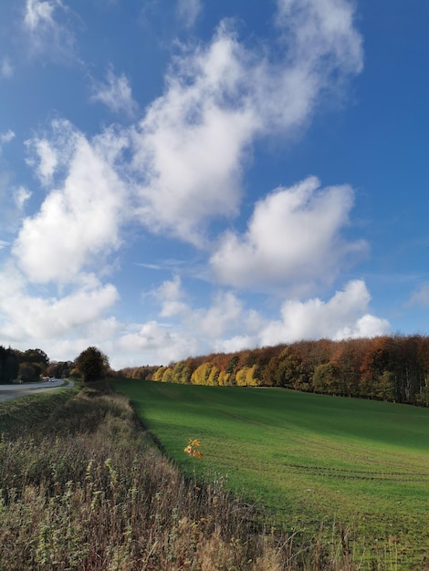 Foto schilderachtig uitzicht op het veld tegen de lucht