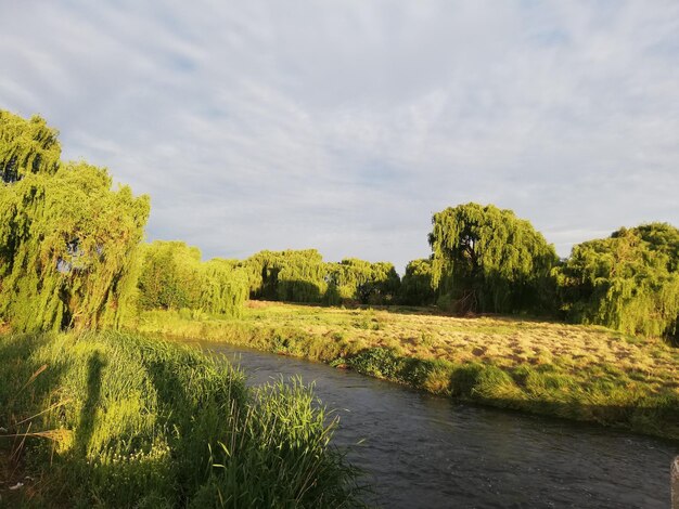 Foto schilderachtig uitzicht op het veld tegen de lucht