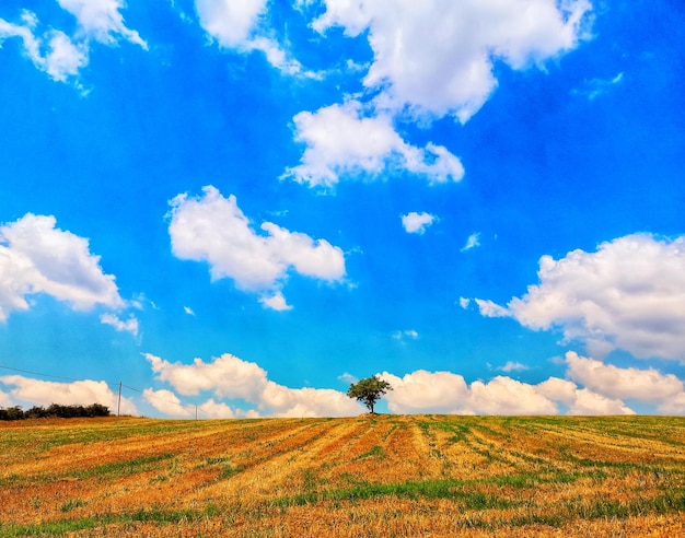 Schilderachtig uitzicht op het veld tegen de lucht