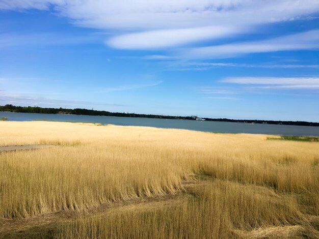 Foto schilderachtig uitzicht op het veld tegen de lucht