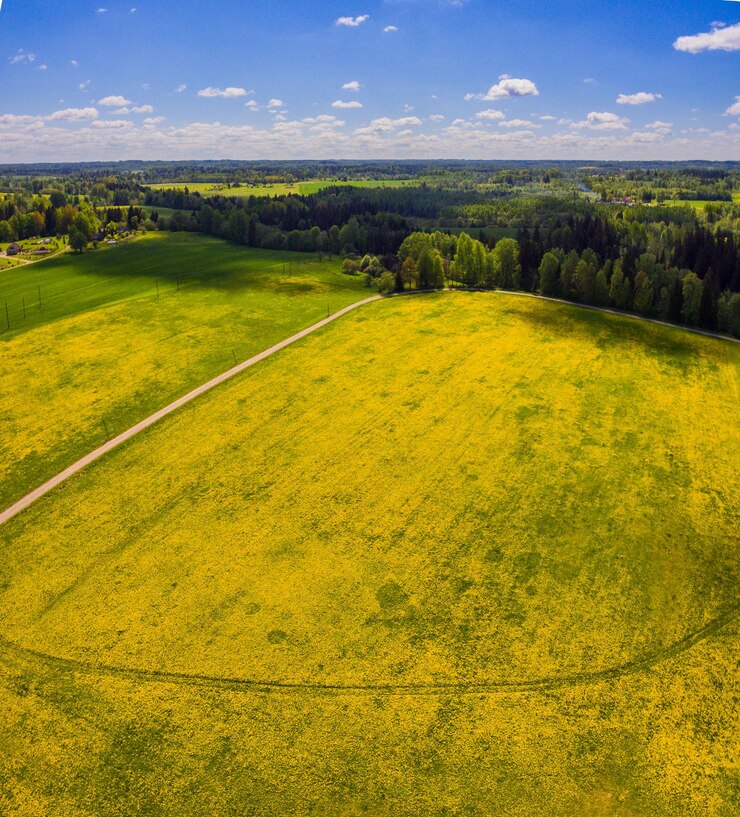 Foto schilderachtig uitzicht op het veld tegen de lucht