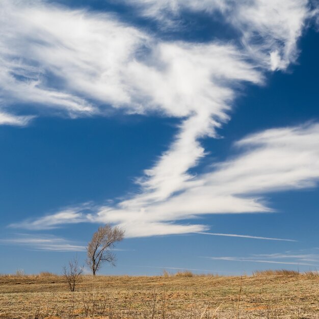 Foto schilderachtig uitzicht op het veld tegen de lucht