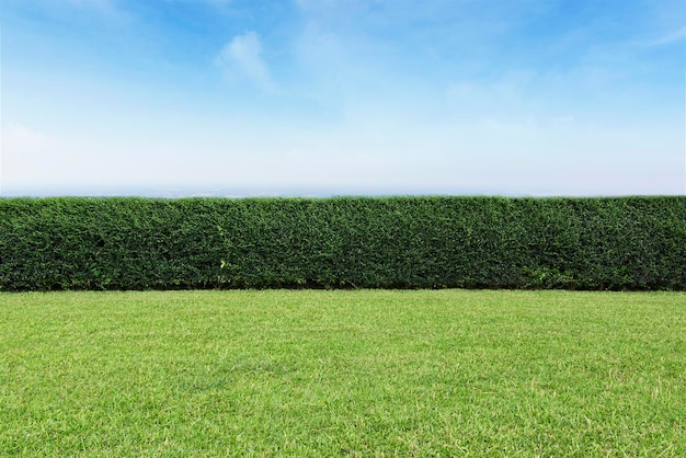 Schilderachtig uitzicht op het veld tegen de lucht