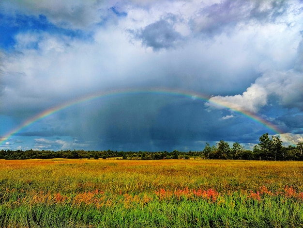 Schilderachtig uitzicht op het veld tegen de regenboog in de lucht