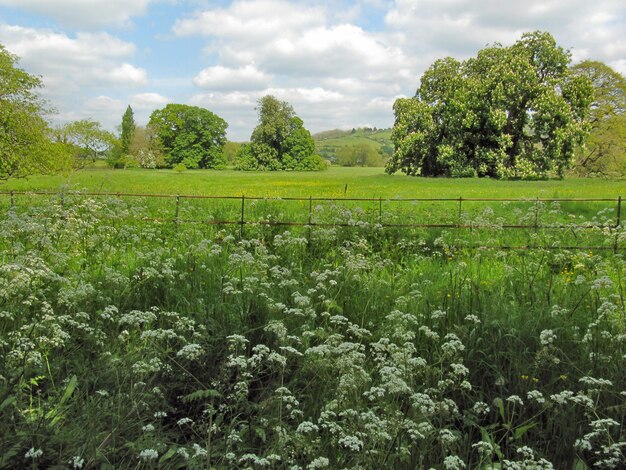 Foto schilderachtig uitzicht op het veld tegen een bewolkte hemel