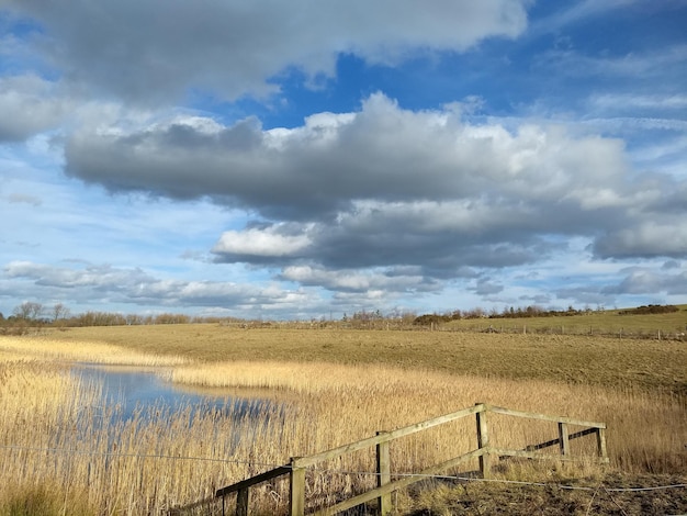 Foto schilderachtig uitzicht op het veld tegen een bewolkte hemel