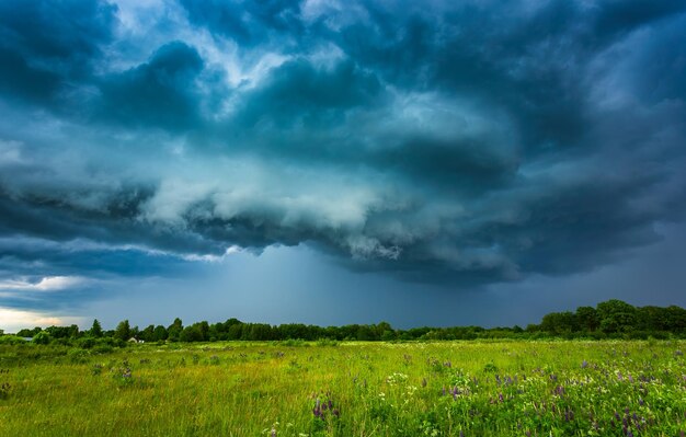 Schilderachtig uitzicht op het veld tegen een bewolkte hemel