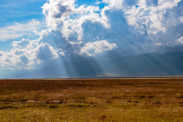 Schilderachtig uitzicht op het veld tegen een bewolkte hemel